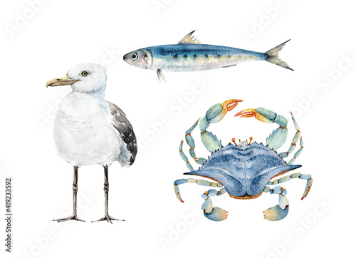 Photography set of watercolor illustrations of animals in marine style, blue crab, fish and seagull