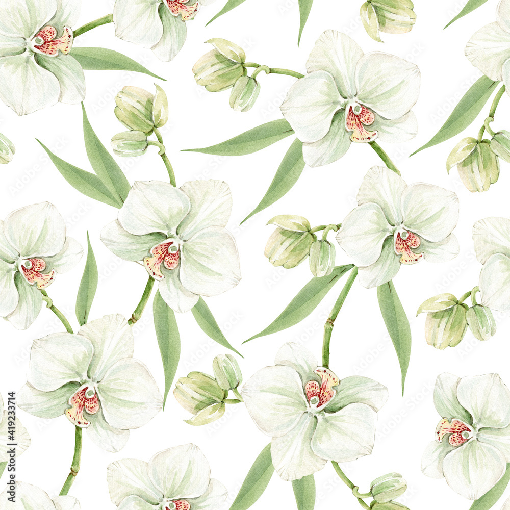 seamless pattern of white orchid flowers, watercolor illustration hand painted