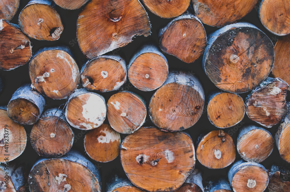 Collection of chopped wood background Collection of chopped wood background