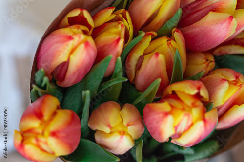 Bouquet of red and orange tulips in paper. Spring flowers.