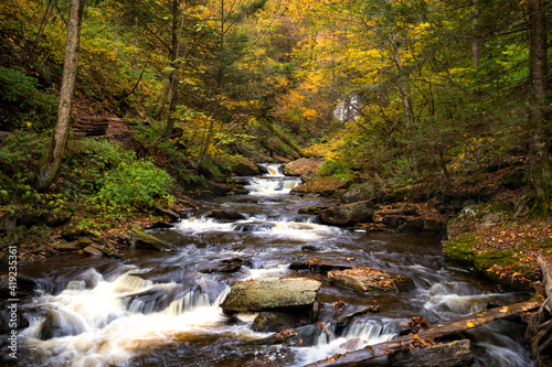  colorful autumn foliage with calming cascading waterfall in Pennsylvania.