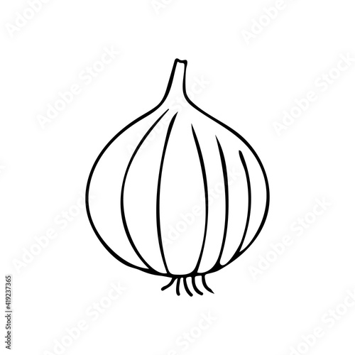 Doodle onion icon in vector. Hand drawn oninon icon in vector