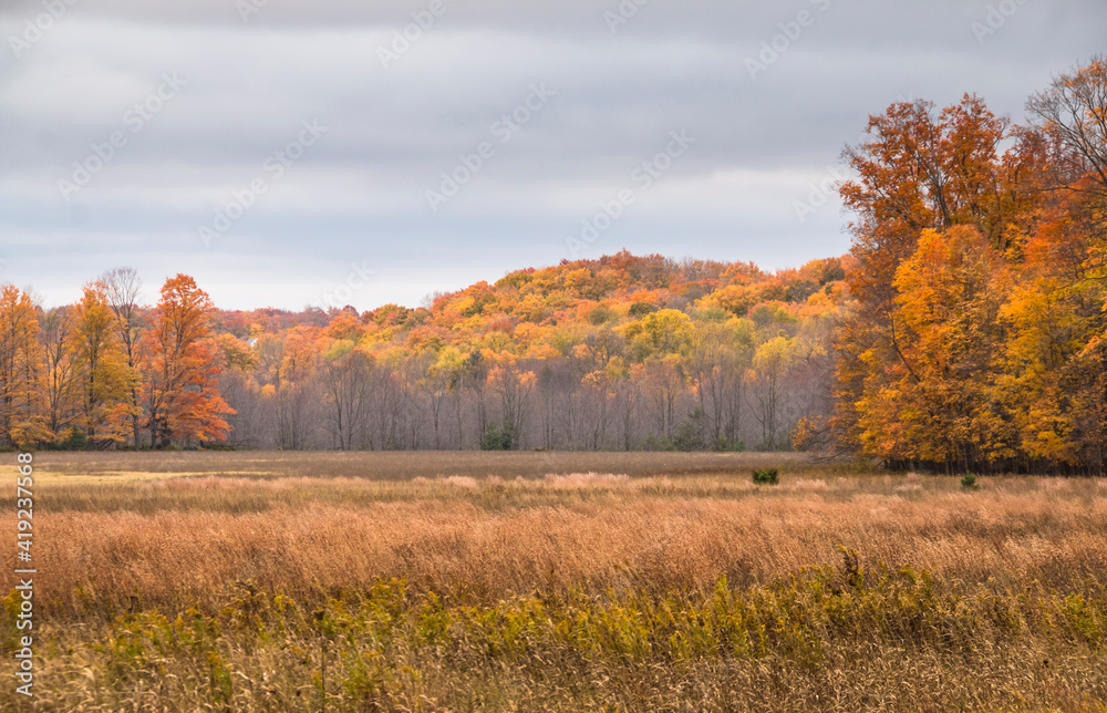 peak vibrant autumn foliage colors in Sleeping Bear Dunes National Lakeshore in Michigan peak vibrant autumn foliage colors in Sleeping Bear Dunes National Lakeshore in Michigan