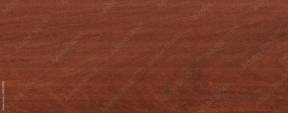Wood texture background. Rough Wooden Surface with natural pattern - obrazy, fototapety, plakaty 