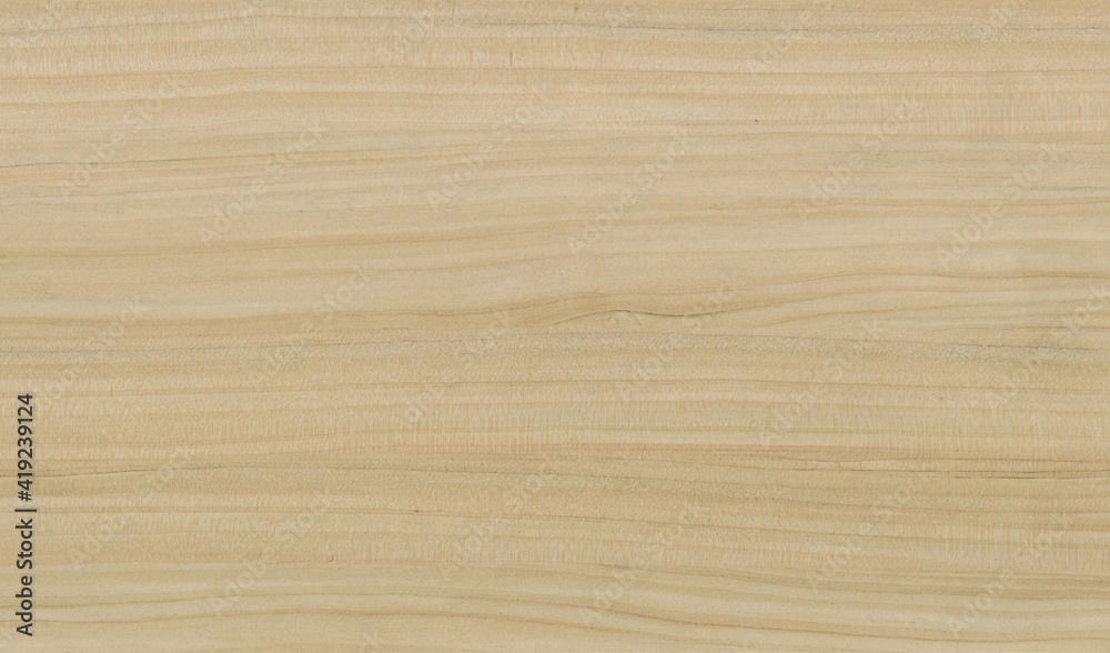 Naklejka premium Wood texture background. Rough Wooden Surface with natural pattern