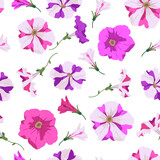 Seamless pattern in cute flowers. Floral pink and striped petunia background for textile, gift wrap, wallpaper, covers, print, decoupage, scrapbooking. Vector illustration