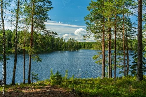 Fotografia Lush green view from a small lake in a forest in Sweden