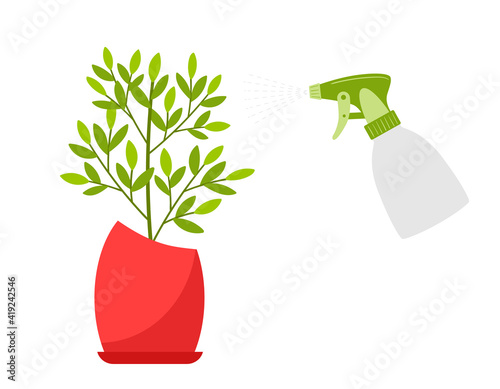 Spraying a house plant with a spray gun. Moistening of foliage. Care for home flowers. Botanical vector illustration in cartoon flat style, isolated on white background