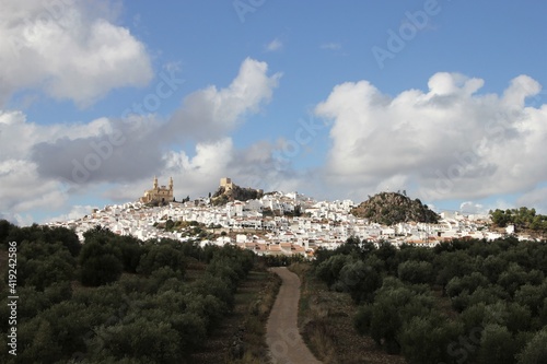 Olvera, a white Andalusian township on a hill seen from the bottom of an access road framed by a grove of sturdy olive trees against a blue sky with torn up scattered storm clouds