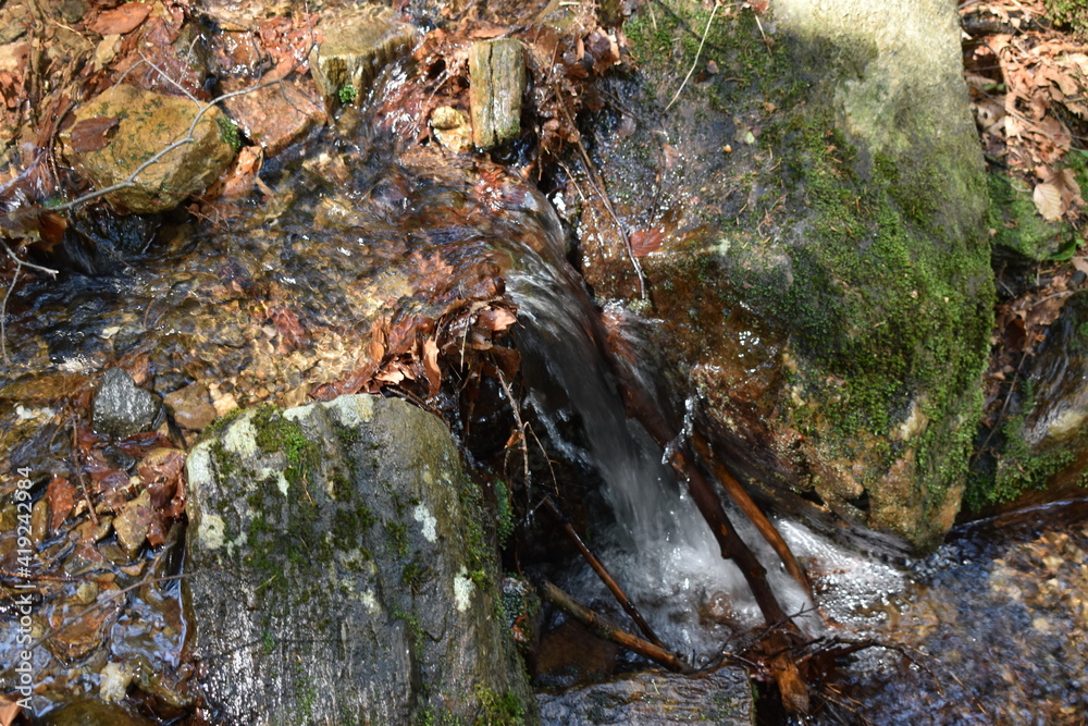 Obraz premium River