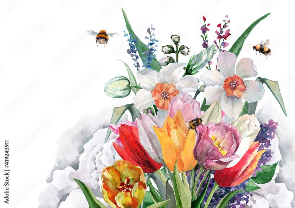Obraz premium Composition of wildflowers cornflowers, poppies, daffodils, tulips with buds, leaves and flying bees. Hand-drawn watercolor on a white background for cards, invitations, textiles, prints, packaging.