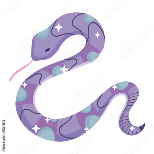 snake animal abstract
