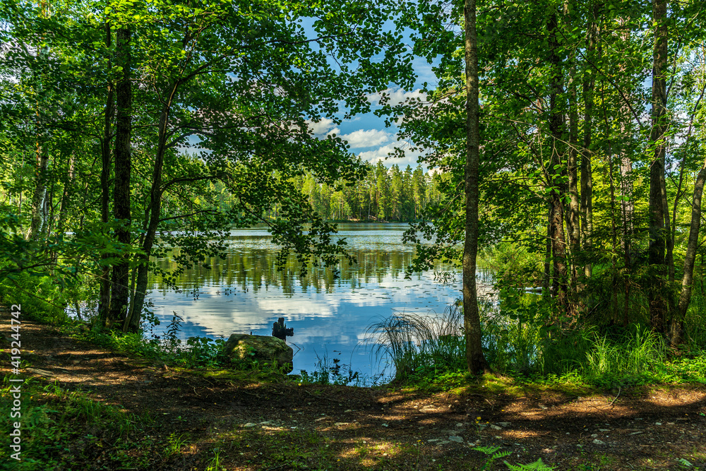 Lush green lakeside view from a sunny summer Sweden Lush green lakeside view from a sunny summer Sweden