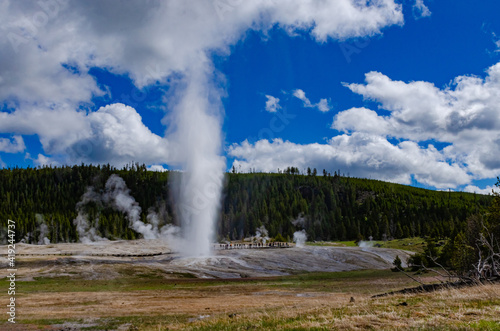 Geyser Old Faithful erupts in Yellowstone National Park in Wyoming  US