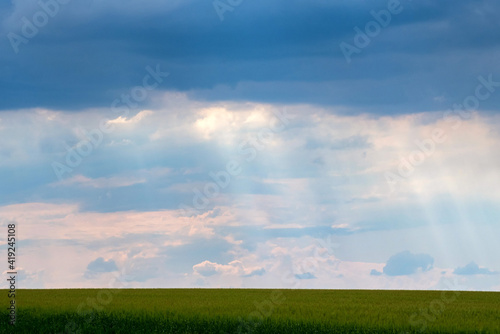 Blue sky with white cumulus clouds background over green field