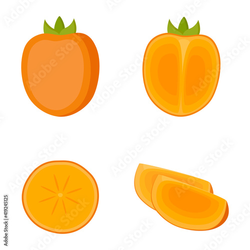 Persimmon, whole fruit, half and slices, on white background, vector illustration