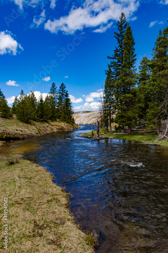 River with warm water in the valley of the Yellowstone National Park  Wyoming USA