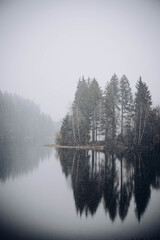 Ingelijste posters Grijs Sombere bomen aan stil meer  © Alexi Fotografie