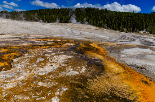 Algae-bacterial mats. Hot thermal spring, hot pool in the Yellowstone NP. USA