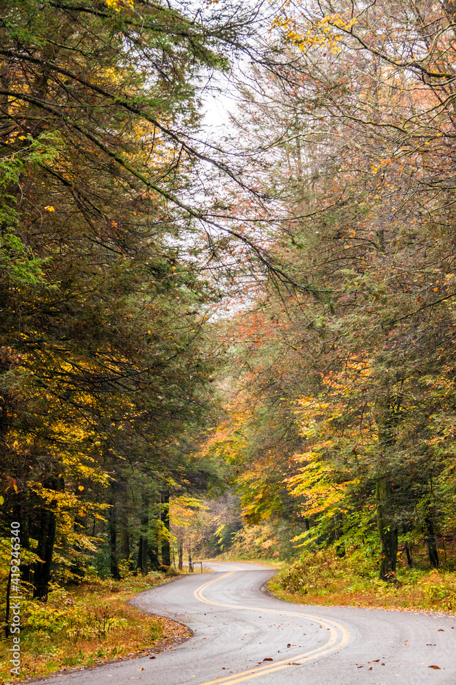 Obraz premium road trip on open road and highway traversing vibrant autumn woods