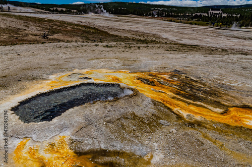 Algae-bacterial mats. Hot thermal spring, hot pool in the Yellowstone NP