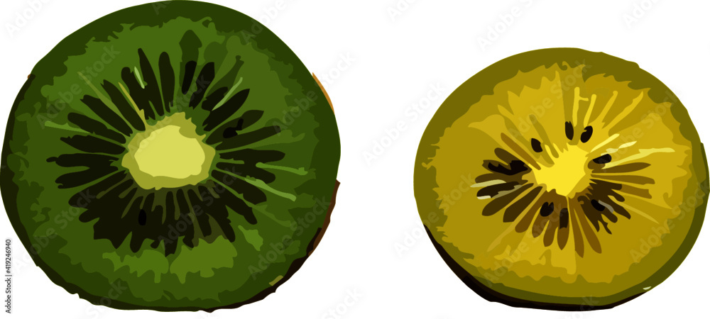 green and yellow kiwi fruit isolated on white