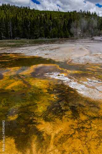 Algae-bacterial mats. Hot thermal spring  hot pool in the Yellowstone NP