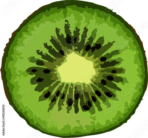 slice of green kiwi fruit