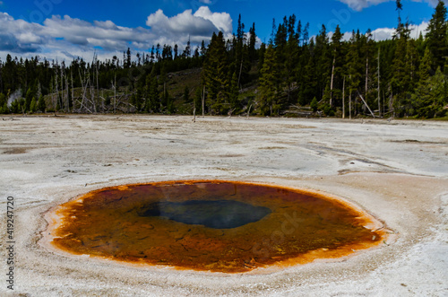 Boiling water bubbler Geyser. Active geyser with major eruptions. Yellowstone NP, Wyoming, US