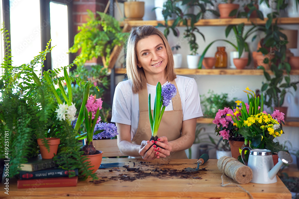 Woman gardener taking care for plants and home flowers, wearing apron. Woman gardener taking care for plants and home flowers, wearing apron.