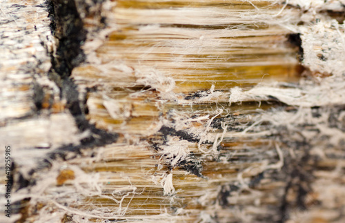 asbestos, serpentine fibers