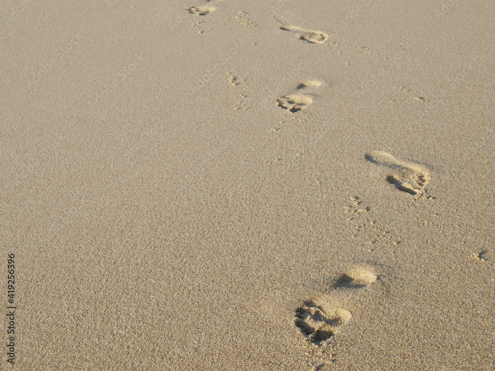 Footprints In The Sand, Sylt, Schleswig Holstein, Germany, Europe Footprints In The Sand, Sylt, Schleswig Holstein, Germany, Europe