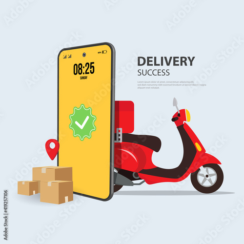 Delivery package success sent to home. order by phone online. Vector illustration