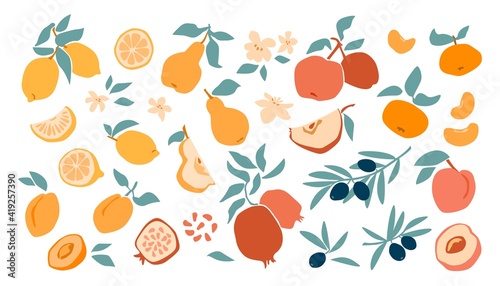 Set of fresh fruit lemon, peach, apple, mandarin, apricot, pomegranate, olive in hand drawing style isolated on white background. Vector flat illustration. Design for textiles, labels, posters, card
