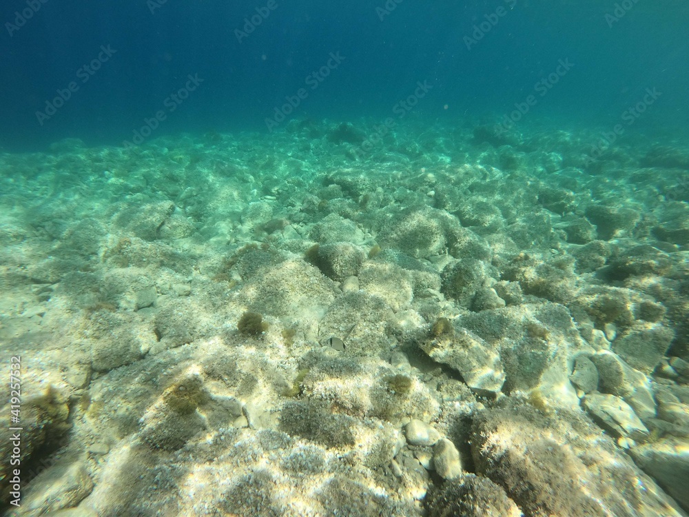 Obraz premium Seabed in Noli, Liguria - Italy