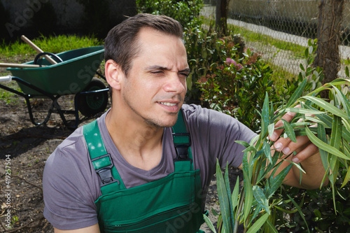 Billede på lærred male gardener looking at plants