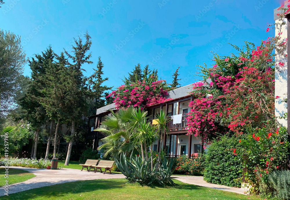 The territory of the hotel in the resort town with an incredibly beautiful garden, beautiful flowering shrubs and fruit trees.  The building on the territory of the hotel