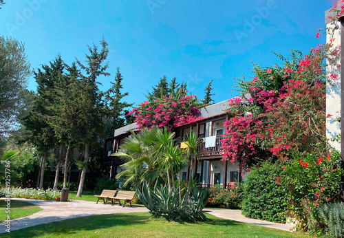 The territory of the hotel in the resort town with an incredibly beautiful garden, beautiful flowering shrubs and fruit trees. The building on the territory of the hotel