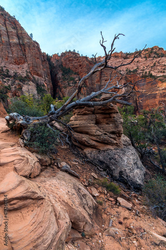 dramatic landscape photo of canyons, cliffs, rivers in Zion national Park in Utah.
