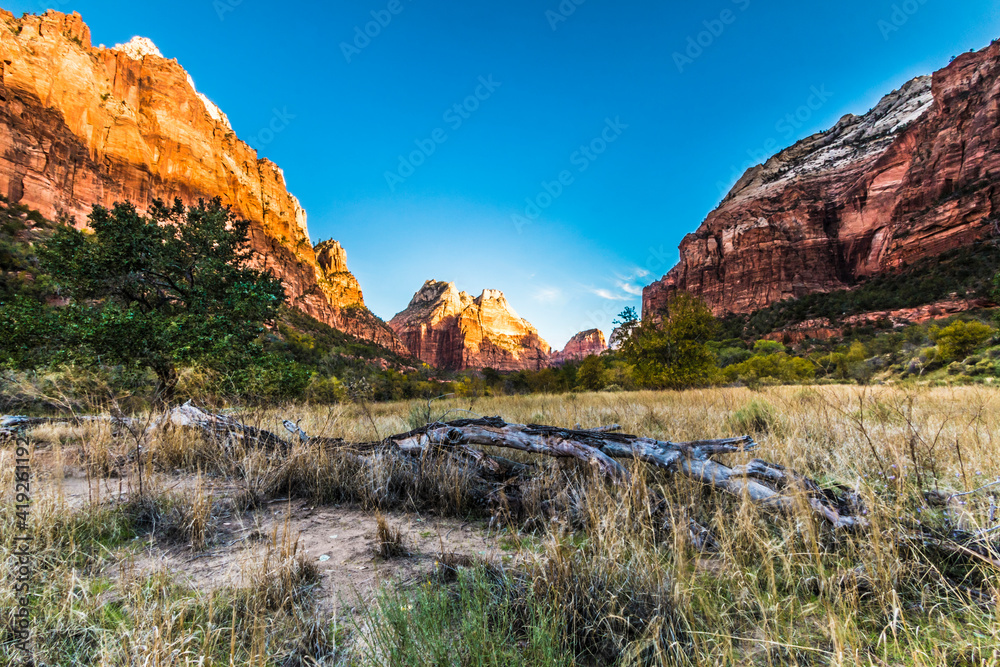 dramatic landscape photo of  canyons, cliffs, rivers in Zion national Park in Utah.