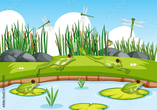 Many green frogs and dragonfly in the pond scene