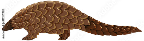 Pangolin animal on white background