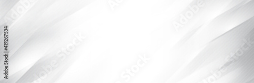 Abstract White Gray background. Blur neutral backdrop. Lecture, seminar, symposium, workshop, conference or briefing presentation template. White vector illustration