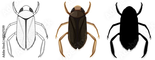 Set of water boatman in three style on white background
