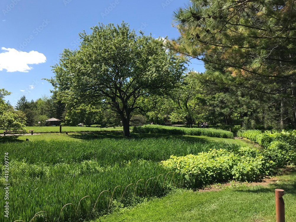 Landscape of green Montreal botanical garden (Jardin botanique de Montreal) nature. Montreal, Quebec, Canada