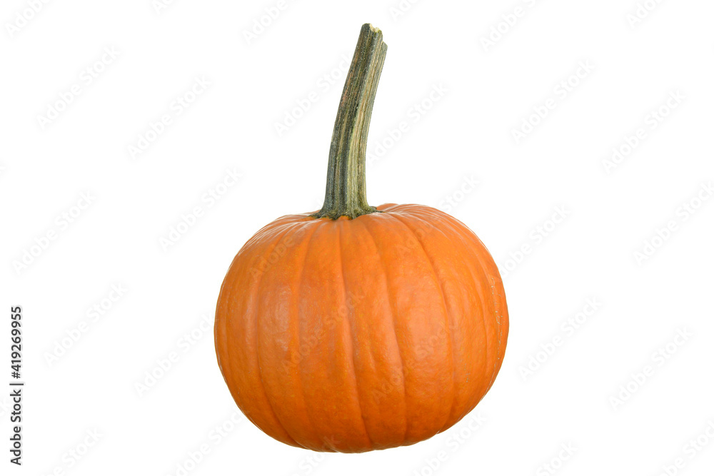 Obraz premium Pumpkin isolated on a white background.