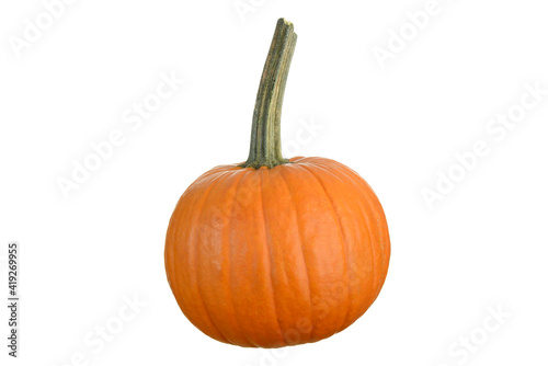 Pumpkin isolated on a white background.