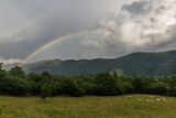 Herd of sheep and rainbow in mountains near Zaqatala, Azerbaijan