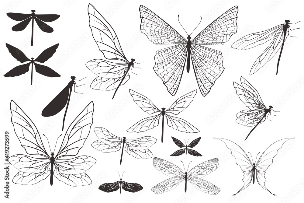 Collection of vector dragonflies and butterflies for design