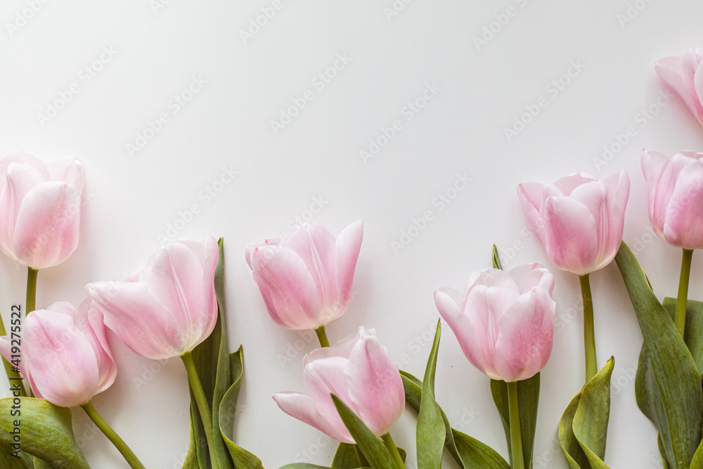 Fototapeta premium Pink tulips bouquet over the white background